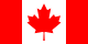 flag icon